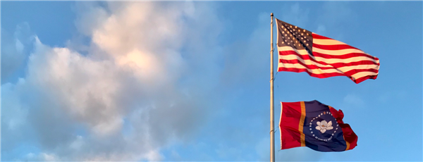 school flags school flags